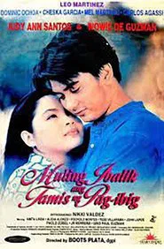 Muling Ibalik Ang Tamis Ng Pag-ibig movie poster