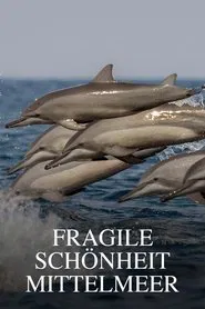 La Méditerranée révélée tv show poster
