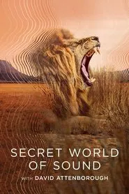 Secret World of Sound tv show poster