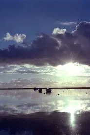 Estuary movie poster