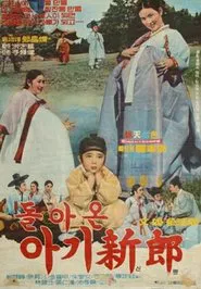 The Little Bridegroom's Return movie poster