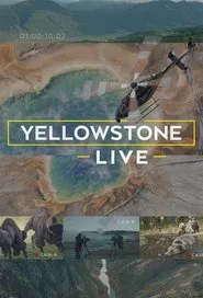 Yellowstone Live tv show poster