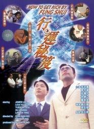 How to Get Rich By Fung Shui movie poster
