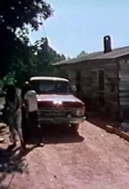 The Burks of Georgia movie poster