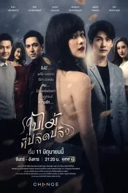 The Fallen Leaf tv show poster