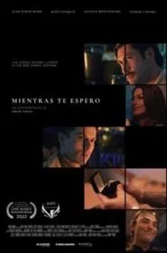 While I Was Waiting movie poster