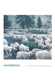Sweetgrass movie poster