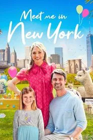 Meet Me in New York movie poster