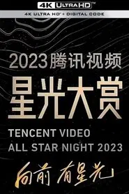 TX Video All Star tv show poster