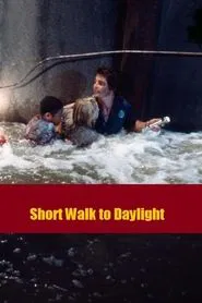 Poster do filme Short Walk to Daylight