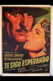 Te Sigo Esperando movie poster