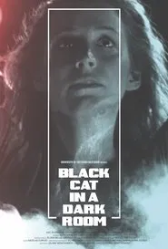 Poster do filme Black Cat in a Dark Room