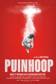 Poster do filme Puinhoop