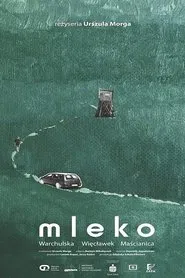 Milk movie poster