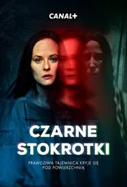 Strange Angels tv show poster
