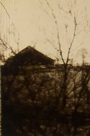 Tell Me What You Saw movie poster