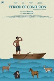 Period of Confusion movie poster