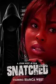 Snatched movie poster