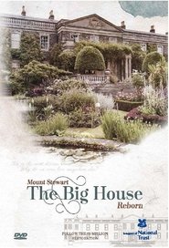 The Big House Reborn tv show poster