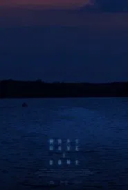 What Have I Done movie poster