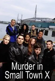 Murder in Small Town X tv show poster