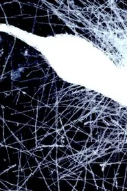 Yaangna Plays Itself movie poster