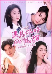 The Wind is Sweet When I Meet You movie poster