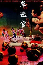 Poster do filme Kusa Meikyuu