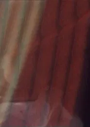 The Old Woman's Face, The Soup Tureen, Vreni Keller Speaks and Madame's Fanny movie poster