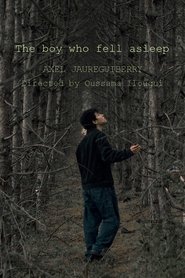 The boy who fell asleep movie poster