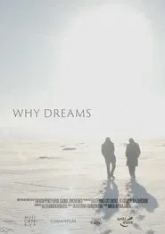 Poster do filme Why Dreams