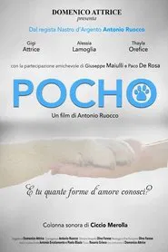 Pocho movie poster