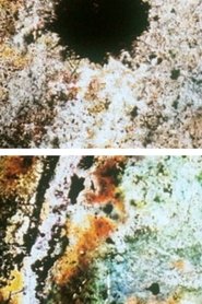 Baby Dream II movie poster