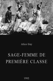 Midwife to the Upper Class movie poster