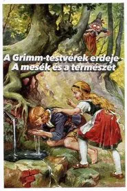 Im Märchenwald der Gebrüder Grimm movie poster