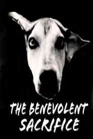 Poster do filme O Sacrifício Benevolente