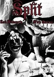 Split movie poster