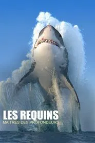 Les requins, maîtres des profondeurs movie poster
