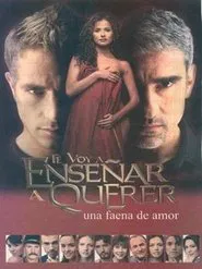 Te voy a enseñar a querer tv show poster