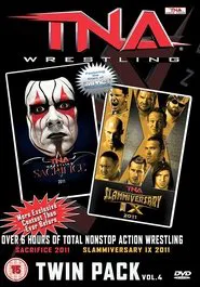 Poster do filme TNA Slammiversary IX