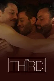 The Third tv show poster