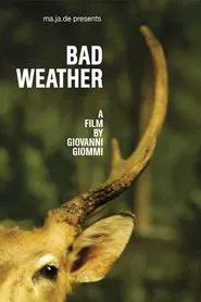Bad Weather movie poster