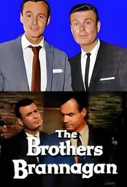 The Brothers Brannagan tv show poster