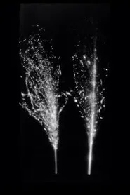Fukushima, Autoradiography movie poster