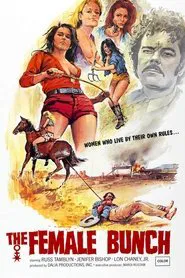 Poster do filme The Female Bunch