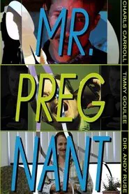 Mr. Pregnant movie poster