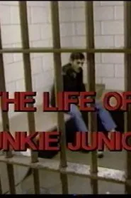 The Story of Junkie Junior movie poster