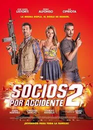 Partners By Accident 2 movie poster