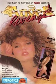 Poster do filme Angel's Revenge