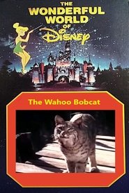 The Wahoo Bobcat movie poster